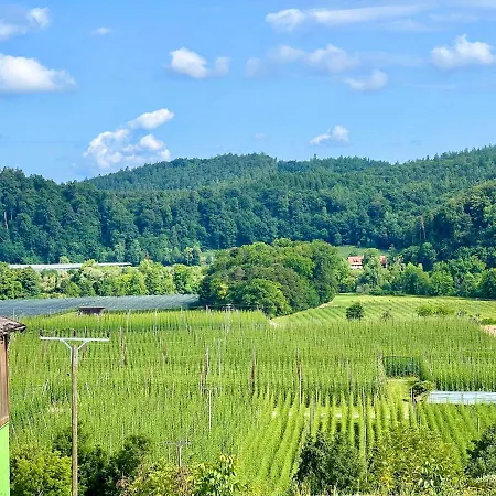 Einzigartiger Panoramablick Tettnang, Bodensee Und Messe In Der Naehe *