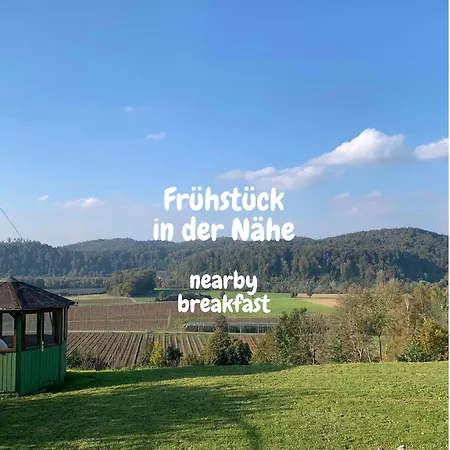 Einzigartiger Panoramablick, Bodensee Und Messe In Der Naehe * Tettnang