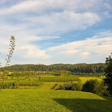 Einzigartiger Panoramablick Tettnang, Bodensee Und Messe In Der Naehe Apartment *