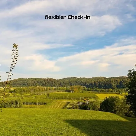 Einzigartiger Panoramablick Tettnang, Bodensee Und Messe In Der Naehe * Tettnang