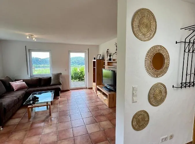 Einzigartiger Panoramablick, Bodensee Und Messe In Der Naehe Апартаменты Тетнанг