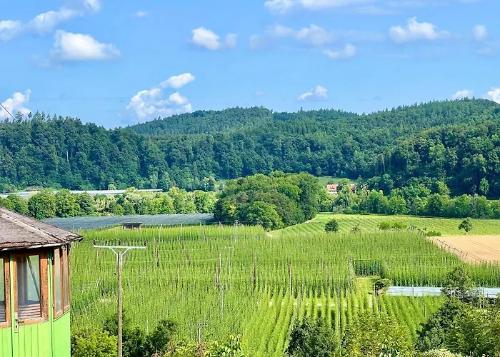 Einzigartiger Panoramablick, Bodensee Und Messe In Der Naehe *