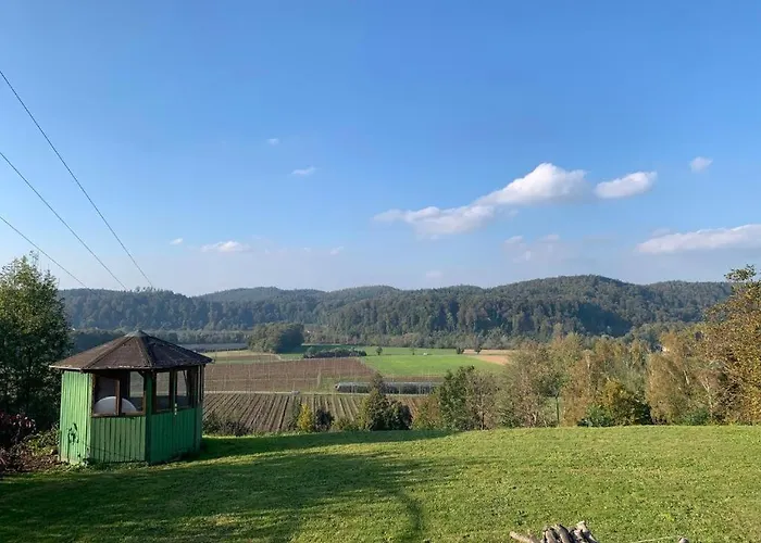 Апартаменты Einzigartiger Panoramablick, Bodensee Und Messe In Der Naehe