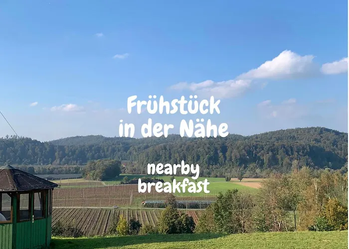 Einzigartiger Panoramablick, Bodensee Und Messe In Der Naehe * Тетнанг